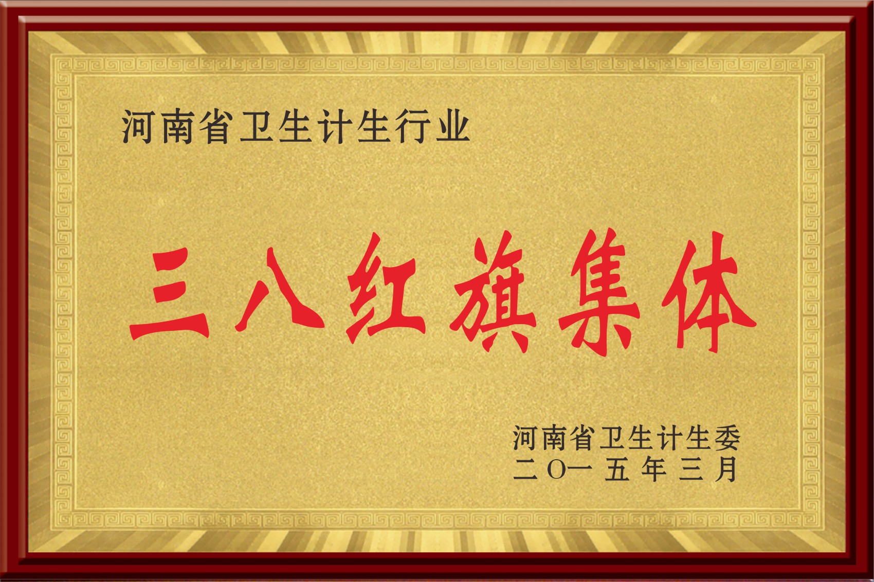 河南省三八红旗集体