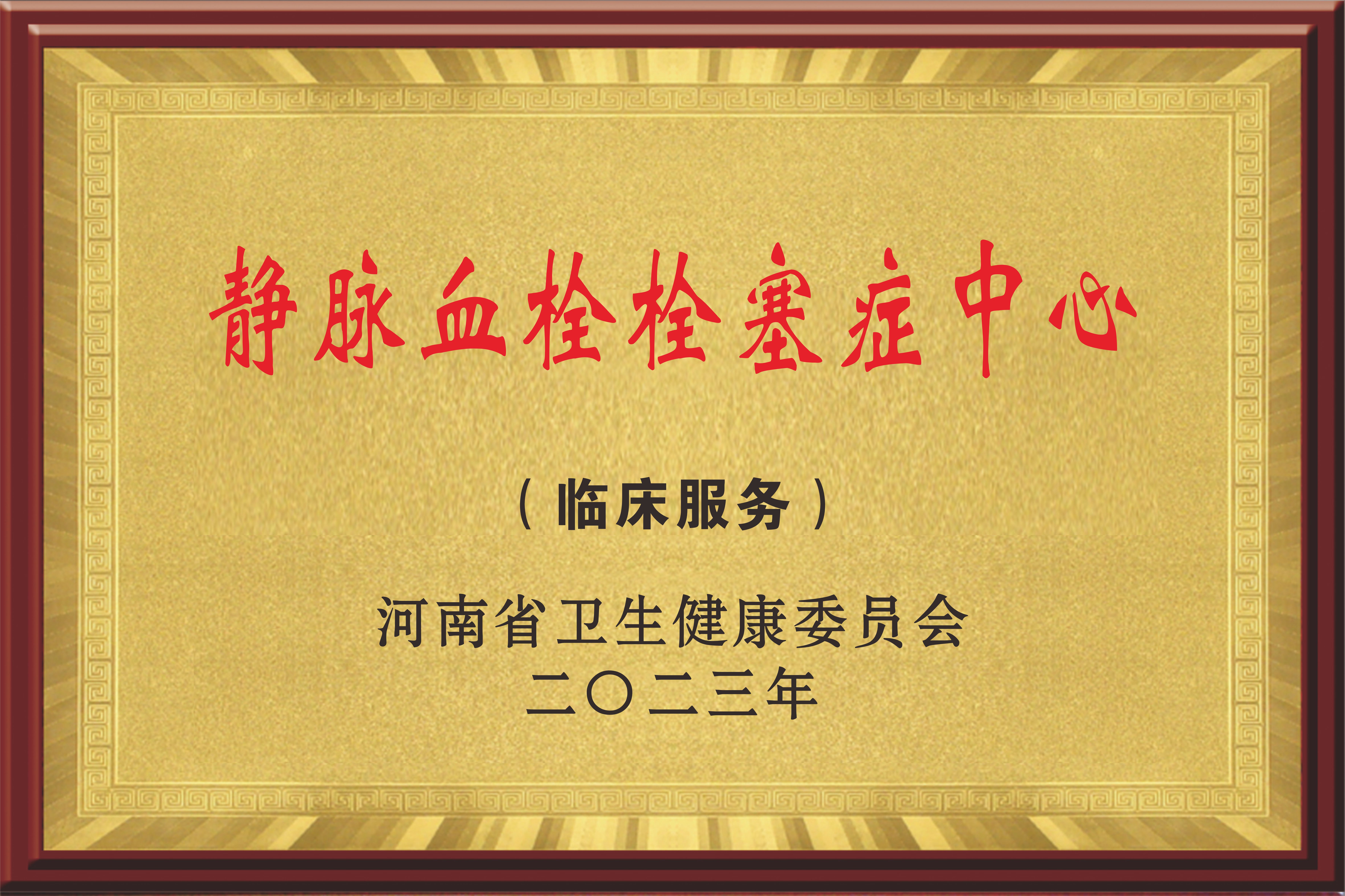 静脉血栓栓塞症中心