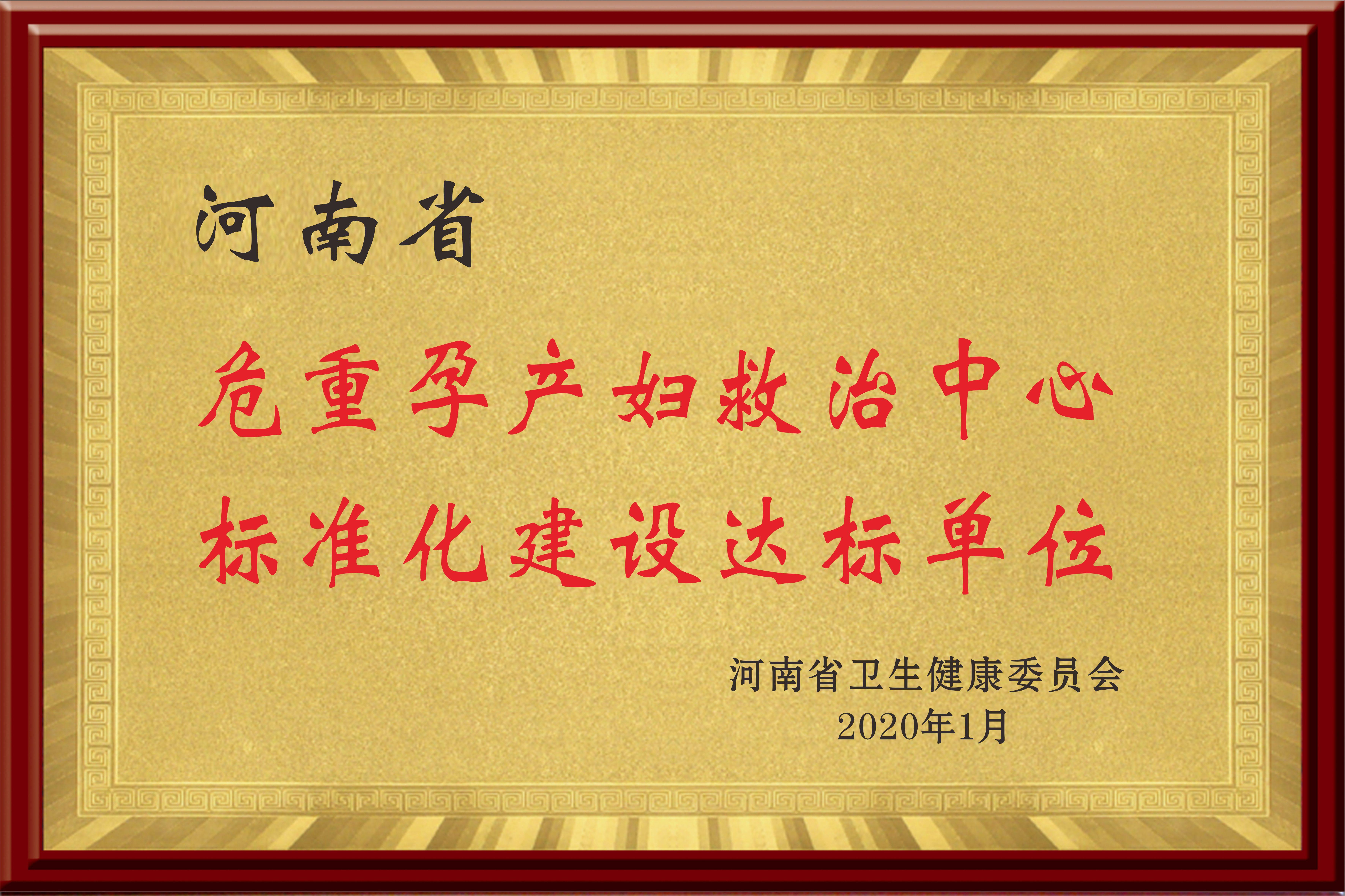 危重孕产妇救治中心